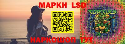 ПСИЛОЦИБИНОВЫЕ ГРИБЫ Краснознаменск