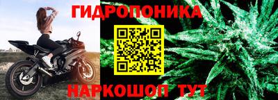 ПСИЛОЦИБИНОВЫЕ ГРИБЫ Краснознаменск
